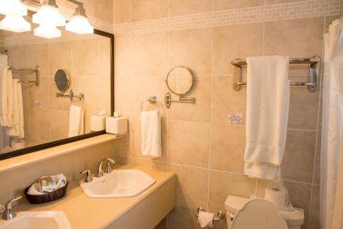 a bathroom with a sink and a toilet and a mirror at Trade Winds Hotel in Dickenson Bay