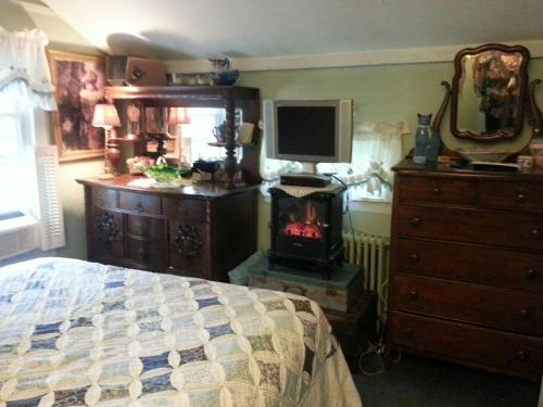 a bedroom with a bed and a wood burning stove at A Meadow House in Lakeville