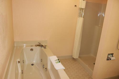 La salle de bains est pourvue d'une baignoire, de toilettes et d'une douche. dans l'établissement Quality Inn, à Pulaski