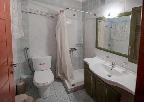 a bathroom with a toilet and a sink and a shower at Luxury City Center Apartment in Kalabaka