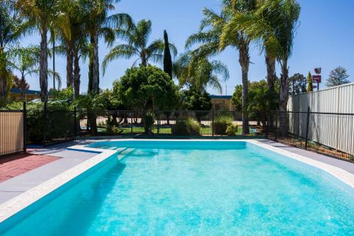 a swimming pool with palm trees and a fence at Renmark Motor Inn in Renmark