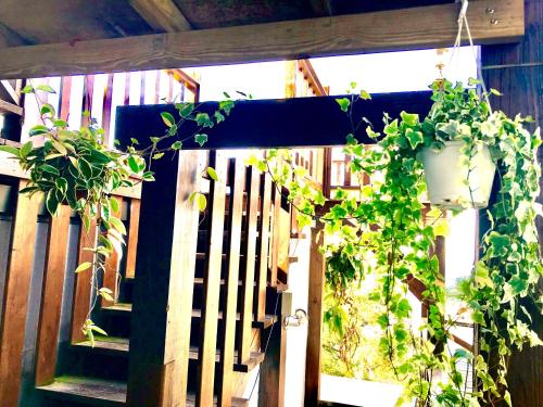a porch with potted plants on a wooden fence at Home Box in Renai