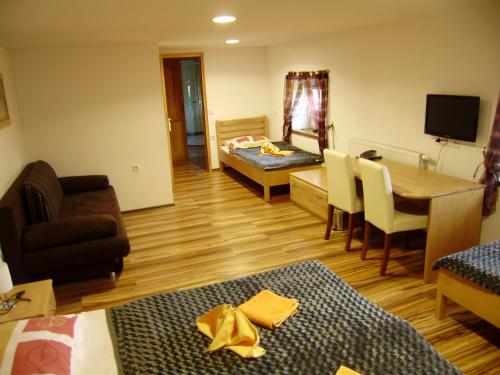 TV/trung tâm giải trí tại Guest House Čater