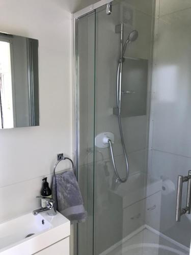 een douche met een glazen deur in de badkamer bij 40 Winks in Otorohanga