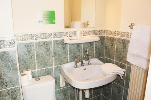 een badkamer met een wastafel en een toilet bij Hotel Le Chapitre in Aubusson