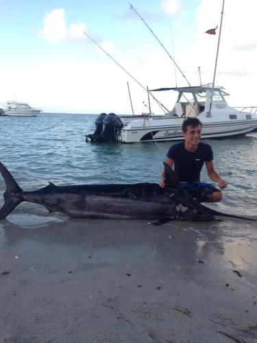a man sitting on the beach with a whale shark at La grange de G. in Grand Gaube