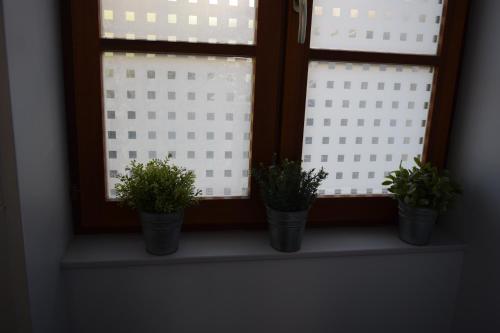 three potted plants sitting on a window sill at Chez Marie in Pont-en-Royans