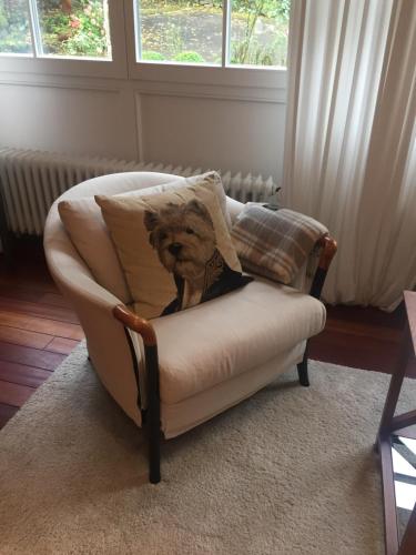 a chair with a dog on the pillow on it at Haus Honigstal Landhaus Café in Wuppertal