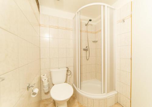 a bathroom with a toilet and a shower at Penzion Pohoda in Frymburk