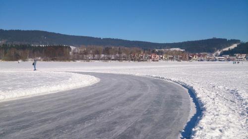 a person is standing on a snow covered beach at Penzion Pohoda in Frymburk