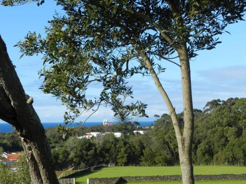 a view of the ocean from behind two trees at Vale Dos Milhafres in Angra do Heroísmo