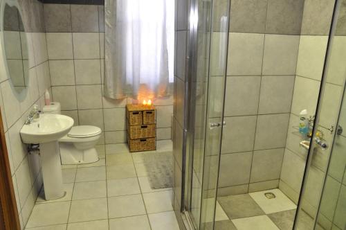 a bathroom with a shower and a toilet and a sink at Huisie Ommie Hoek in Uniondale