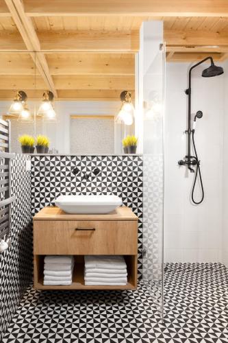 a bathroom with a sink and a shower at Miód Malvina Apartamenty in Krynica Zdrój