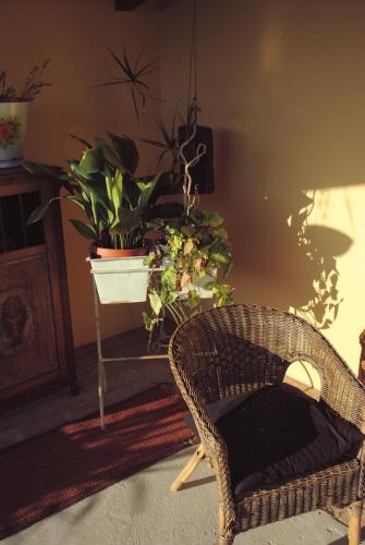 a living room with a chair and a potted plant at El Lacayo de Sestiello in Grado