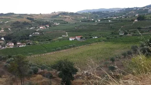 Foto Quinta Do Acipreste (Antiga Quinta Da Torre) 6