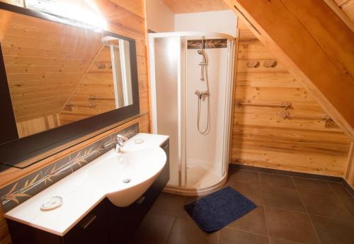 A bathroom at Chalet LEPERVIERE