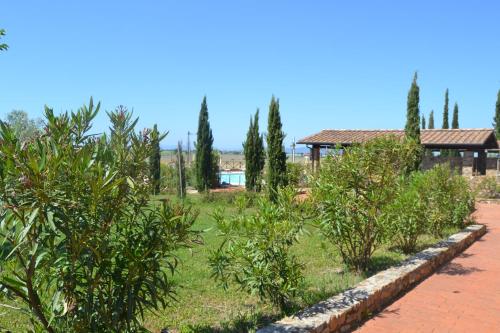 a row of trees with a house in the background at Antico Borgo Casalappi in Campiglia Marittima