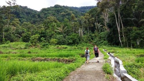 two people walking down a dirt road at Beach Guest House in Maninjau