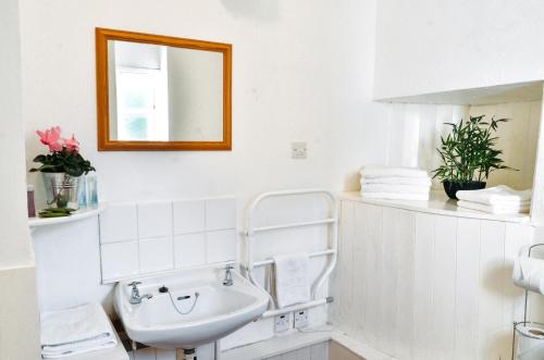 ein weißes Badezimmer mit Waschbecken und Spiegel in der Unterkunft Aqueduct Cottage in Llanover