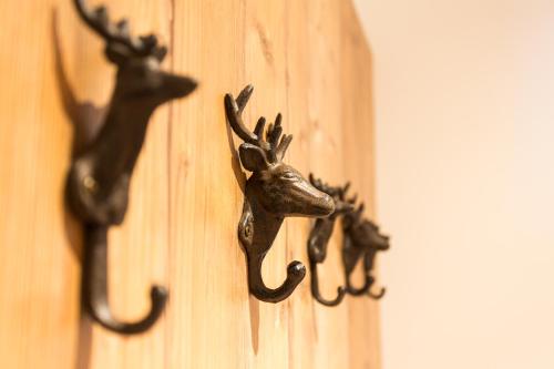 a wall mount of a deer head on a wall at Alpenhotel Wurzer in Filzmoos
