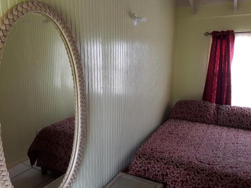 a bedroom with a mirror and a bed and a window at Apartment Unforgetable Gardens in Falmouth