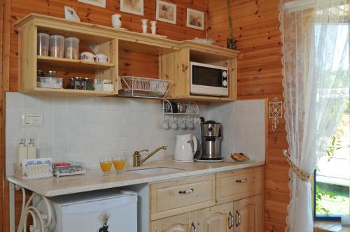 a kitchen with a sink and a microwave at Meshi Belavan in Metulla