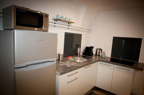 La cuisine est équipée d'un réfrigérateur blanc et d'un four micro-ondes. dans l'établissement Côté Jards, à Châlons-en-Champagne