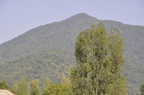 a mountain in the distance with a tree in the foreground at Fairy Tale in Gabala