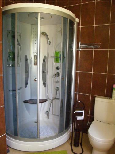 a shower in a bathroom with a toilet at Home for Guests Lakštingala in Šiauliai