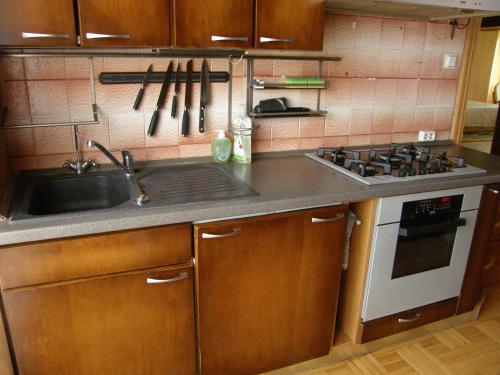 a kitchen with a sink and a stove at Home for Guests Lakštingala in Šiauliai