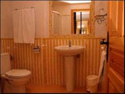 La petite salle de bains est pourvue de toilettes et d'un lavabo. dans l'établissement Posada Camino de Altamira, à Santillana del Mar