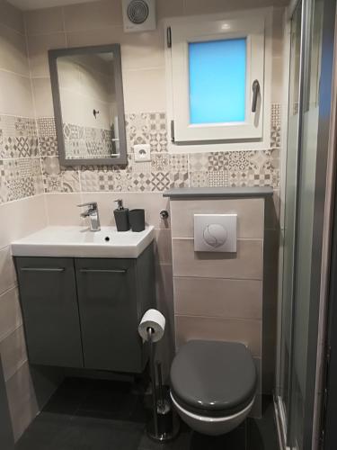 une salle de bain avec toilettes, lavabo et miroir dans l'établissement L'Annexe Ginkg'Home, à Saint-Max