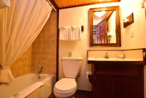 a bathroom with a toilet and a sink and a mirror at Sequim West Inn in Sequim