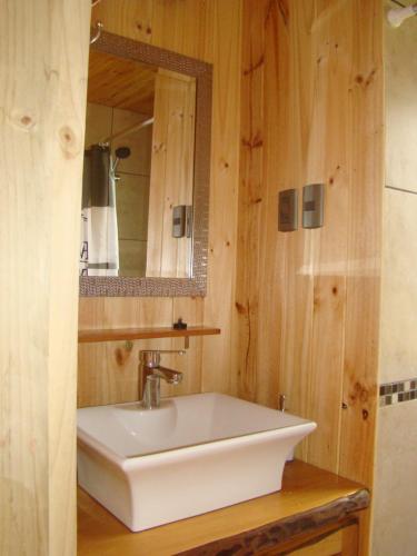 y baño con lavabo blanco y espejo. en Lodge Punahue, en Choshuenco