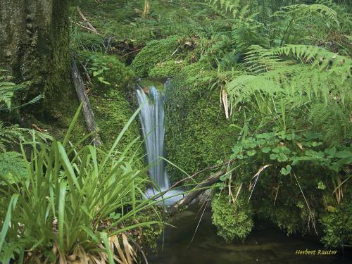 a waterfall in the middle of a forest at Nashira Kurpark Hotel in Bad Herrenalb