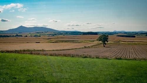 a field with a tree in the middle of it at The Lodges @ Barra Castle in Inverurie