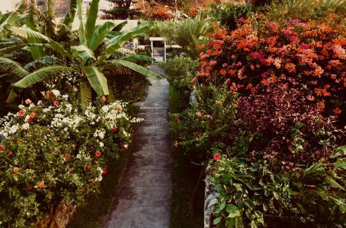 a garden with many different types of flowers at Casa Santa Barbara Deluxe in Ribeira Grande