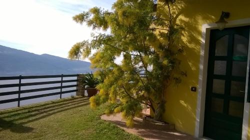 a yellow house with a tree next to a door at CASA NAVLA' AppartamentI "Ulivi"- "Fiori" -"Velieri"-"Luna"-"Nido"-"Taverna" in Tignale