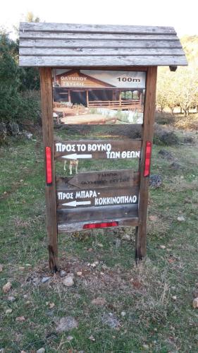 a wooden chair with writing on it in the grass at Stonehouse 2 Bedroom Chalet on Olympus Amazing View in Pétra