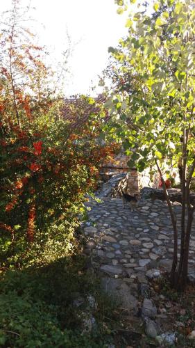 a stone path with a tree and some bushes at Stonehouse 2 Bedroom Chalet on Olympus Amazing View in Pétra