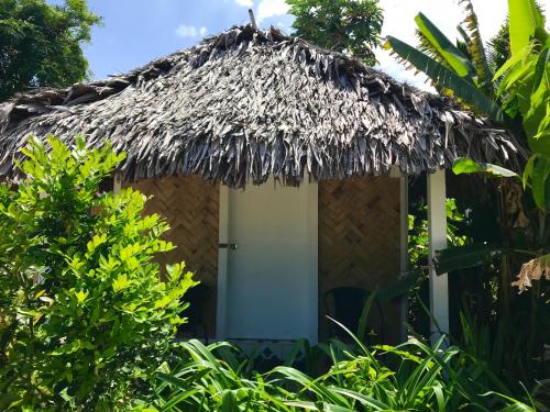 a small hut with a thatched roof at Tanna Evergreen Resort & Tours in Tanna Island