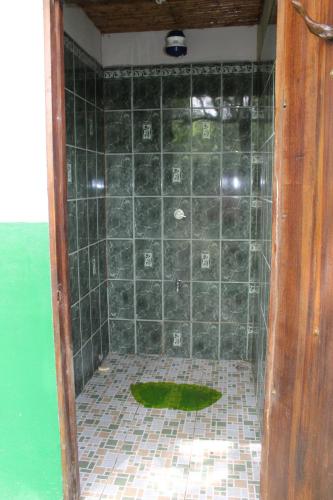 a bathroom with a shower with a green floor at Finca Orgánica Guarumo in Heredia