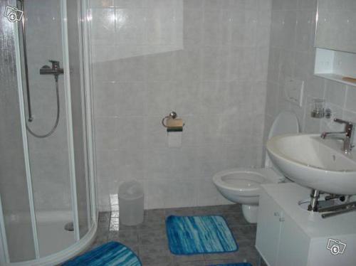 a bathroom with a shower and a sink and a toilet at Rustico Aurora in Brontallo