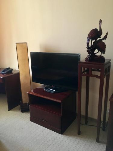 a flat screen tv on a stand with a dinosaur statue at Flamingo in Aktobe
