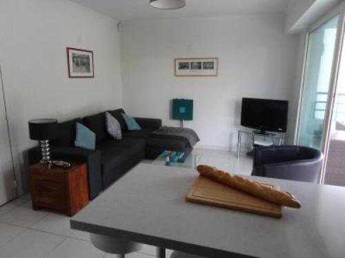 Modern one bedroomed apartment just off the Cannes Seafront with a terrace and pool access 1753