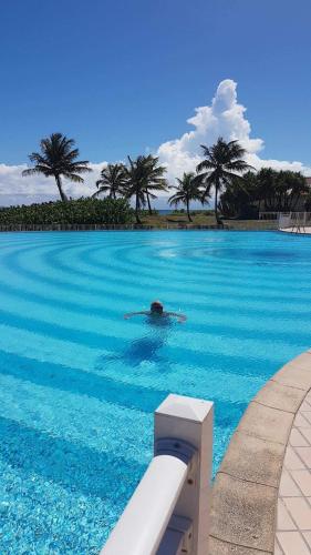Der Swimmingpool an oder in der Nähe von Studio Le Frangipanier