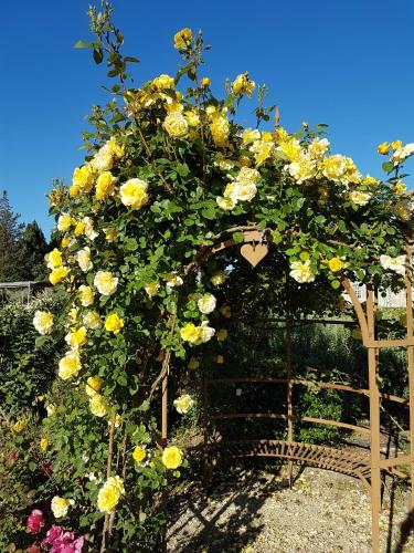 Κήπος έξω από το MAS DES FIGUES -très calme-Certifié Biologique FRBio10-jardin naturel écologique vivant-piscine 12x6-Copieux brunch paysan méditerranéen du jardin cuisine maison huile d'olive-Agritourisme-Alpilles-Saint Rémy de Provence-du 30 avril au 20 septembre 2026-