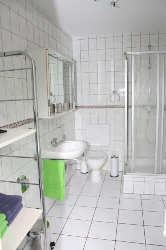 een badkamer met een toilet, een wastafel en een douche bij Ferienwohnung Werraglück in Eschwege