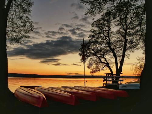 a row of boats parked on the shore of a lake at Ferienpark Bad Saarow in Bad Saarow