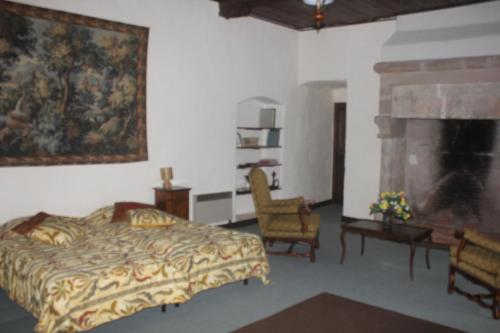 a bedroom with a bed and a fireplace at Chateau de Presque in Saint-Médard-de-Presque